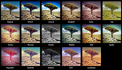 Facebook inserisce la pubblicità su Instagram Facebook inserisce la pubblicità su Instagram